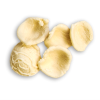 orecchiette fresche abatianni